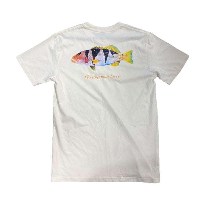 Footballer Coral Trout Tee White - Spearfishing Superstore